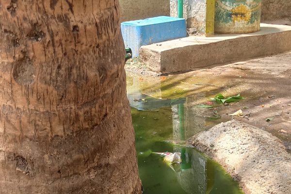 Exploring the Potential of Greywater Management and its Reuse for Irrigation and Groundwater Recharge